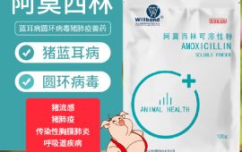 阿莫西林可溶性粉，15年兽药生产厂家国标现货批发