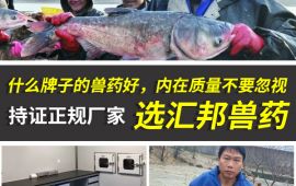 什么牌子的兽药好，内在质量不要忽视【汇彩网登录大厅兽药】