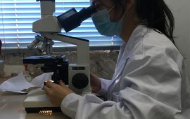 中国最好的兽药厂家，值得信任！ 【汇彩网登录大厅兽药】