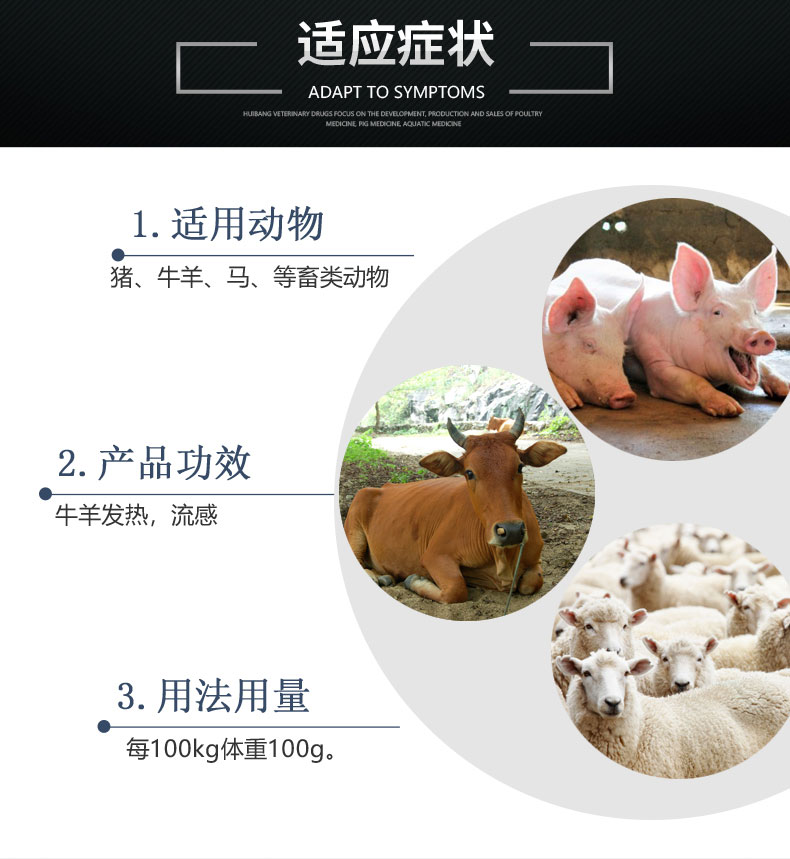 汇彩网登录大厅详情页-柴葛解肌散1000g-（牛羊）-z_06.jpg